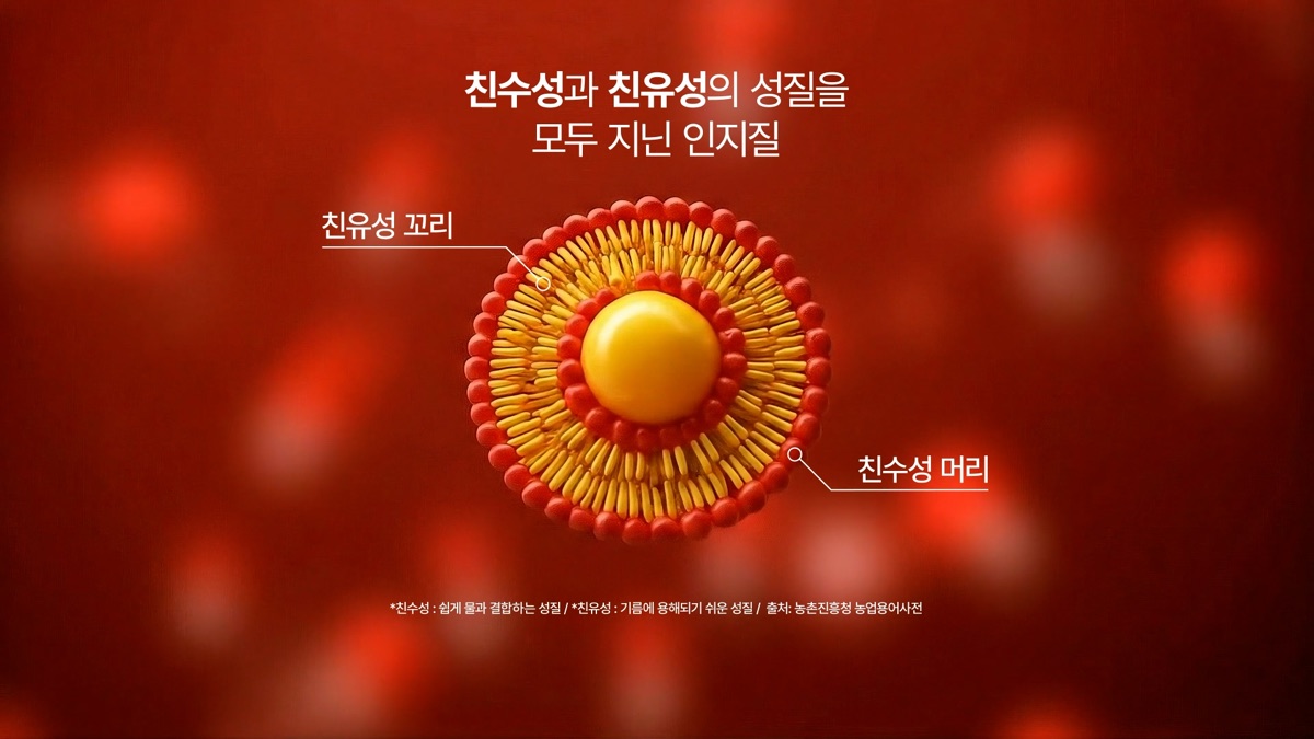 AI 제품 표현 예시